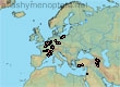 Lasioglossum (Evylaeus) laeve (85 specimens)