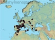Lasioglossum (Evylaeus) limbellum (112 specimens)
