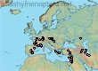 Lasioglossum (Evylaeus) marginatum (156 specimens)
