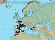 Lasioglossum (Evylaeus) mediterraneum (160 specimens)