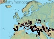 Lasioglossum (Evylaeus) mesosclerum (227 specimens)
