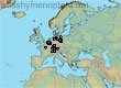 Lasioglossum (Evylaeus) sabulosum (241 specimens)