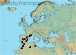 Lasioglossum (Evylaeus) strictifrons (43 specimens)