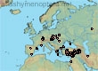 Systropha planidens (166 specimens)