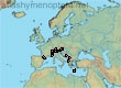 Dufourea (Alpinodufourea) alpina (38 specimens)