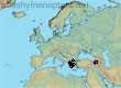 Dufourea (Halictoides) graeca (101 specimens)