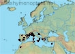 H. smaragdulus Forme A