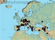 Lasioglossum (Evylaeus) quadrisignatum (114 specimens)