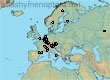 Lasioglossum (Evylaeus) fratellum (293 specimens)