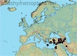 Lasioglossum (Evylaeus) debilior (23 specimens)