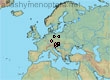 Lasioglossum (Evylaeus) setulosum (17 specimens)