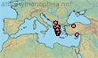 Lasioglossum apostoli