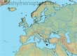 Lasioglossum (Dialictus) ariadne 