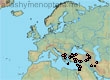 Lasioglossum (Evylaeus) clypeiferellum (39 specimens)
