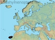 Lasioglossum (Dialictus) laetum 