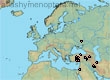 Lasioglossum (Lasioglossum) bicallosum (14 specimens)