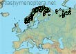 Bombus (Alpinobombus) balteatus (1065 specimens)