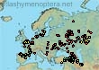 Bombus (Cullumanobombus) cullumanus (1274 specimens)