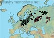Bombus (Cullumanobombus) semenoviellus (393 specimens)