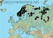 Bombus (Megabombus) consobrinus (1094 specimens)