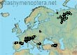 Bombus (Melanobombus) sichelii (7094 specimens)