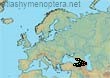 Bombus (Mendacibombus) shaposhnikovi (136 specimens)