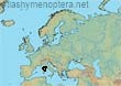 Bombus (Psithyrus) perezi (241 specimens)