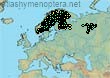 Bombus (Pyrobombus) cingulatus (982 specimens)
