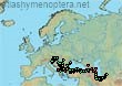 Bombus (Pyrobombus) haematurus (605 specimens)