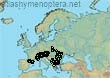 Bombus (Pyrobombus) pyrenaeus (7174 specimens)