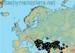 Bombus niveatus (3974 specimens)