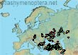 Bombus (Thoracobombus) armeniacus (2068 specimens)