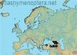 Bombus (Thoracobombus) brodmanni (45 specimens)