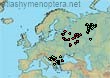 Bombus (Thoracobombus) deuteronymus (105 specimens)