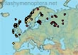 Bombus (Thoracobombus) muscorum bannitus (308 specimens)