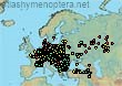 Bombus (Thoracobombus) pomorum (3923 specimens)