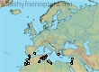 Melitta (Melitta) maura (231 specimens)