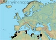 Melitta (Melitta) schmiedeknechti (137 specimens)