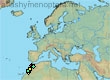 Camptopoeum nadigi (61 specimens)