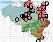 Eumenes pedunculatus (Panzer)
