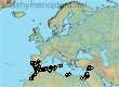 Andrena aerinifrons, 45 data