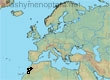 Andrena aetherea, 2 data