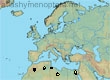 Andrena argyreofasciata, 4 data