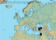 Andrena bassana, 10 data