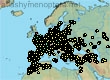 Andrena bimaculata, 1916 data