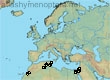 Andrena caroli, 11 data