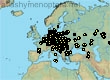 Andrena chrysopyga, 343 data