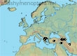 Andrena clusia, 11 data