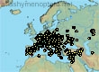 Andrena combinata, 1036 data