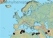 Andrena euzona, 18 data